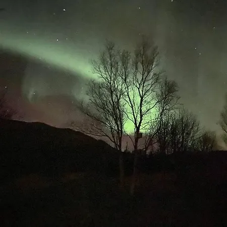 Nordgard I Straumsjoen 別荘 Bo (Nordland)